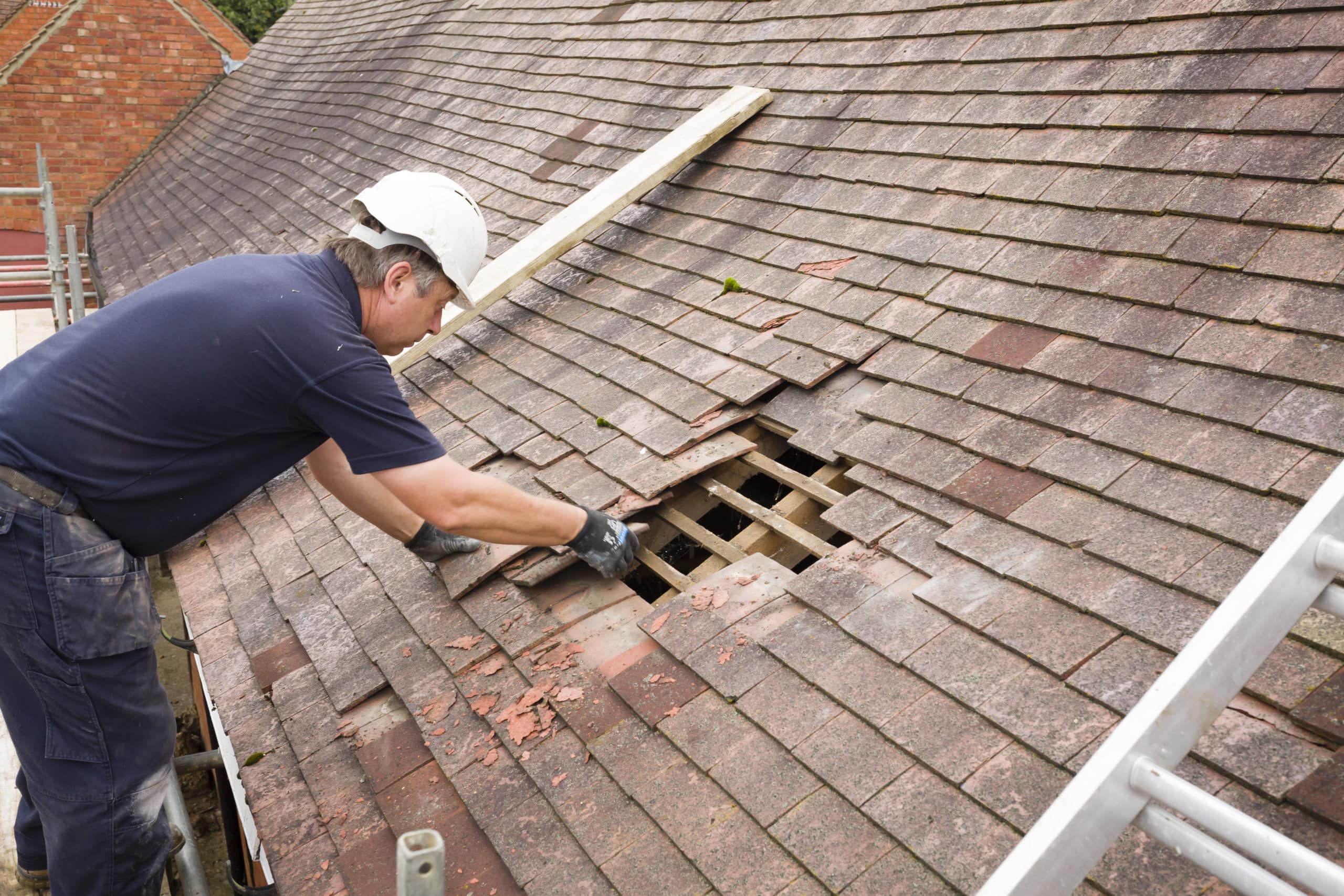 Damaged asphalt shingles with exposed mat and black underlayment on a roof slope