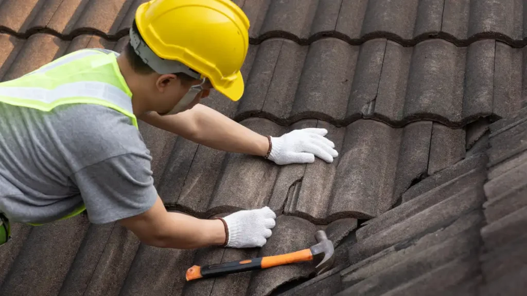 Roof Maintenance McKinney TX