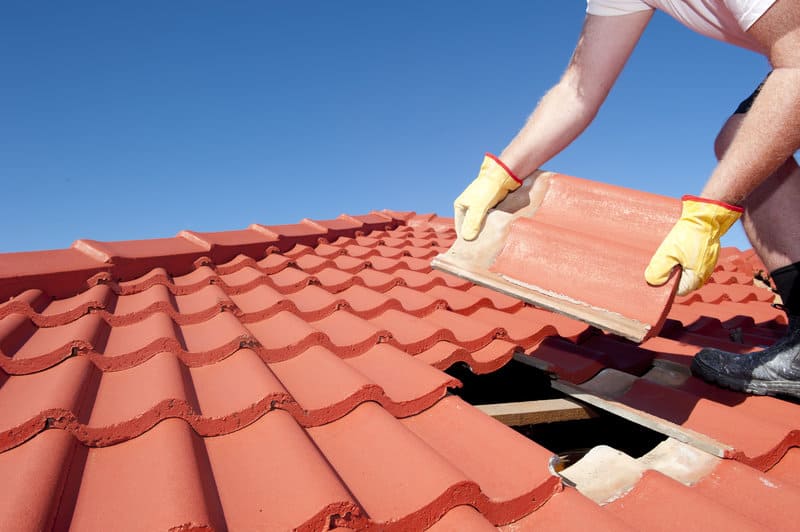 spring roof maintenance north dallas