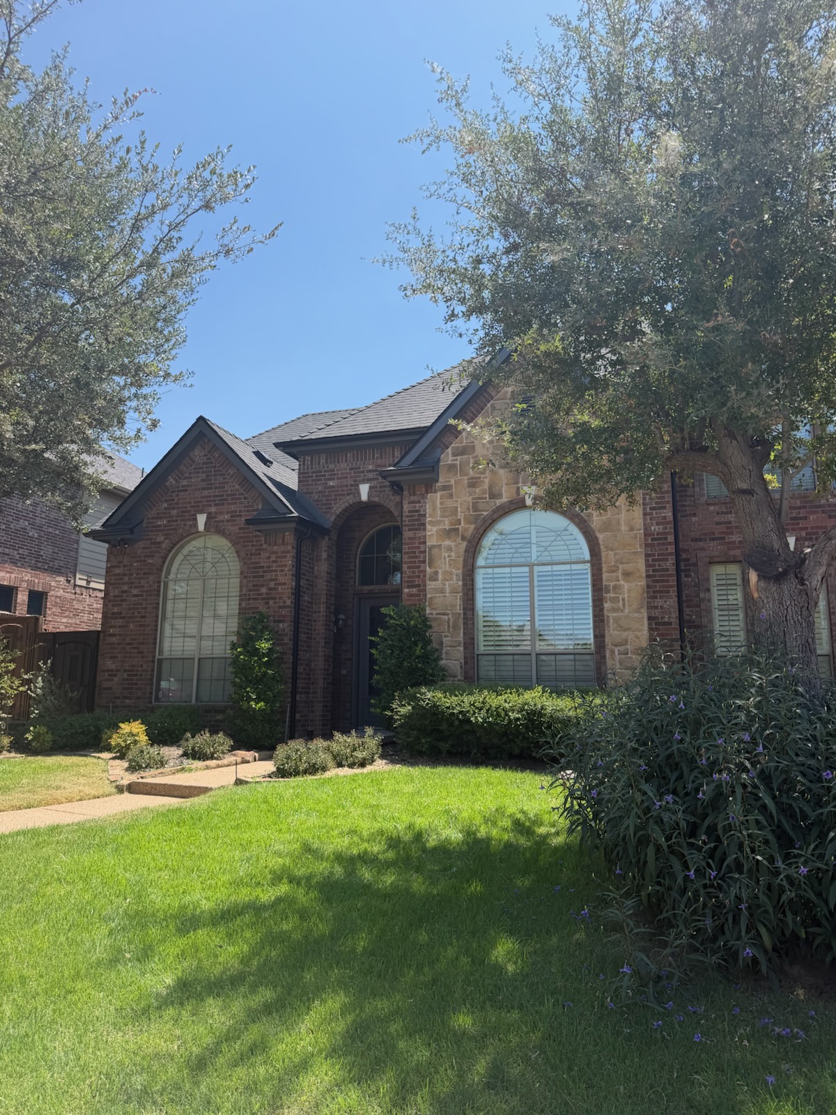 Completed window replacement seen from the street on a brick and stone McKinney, TX home
